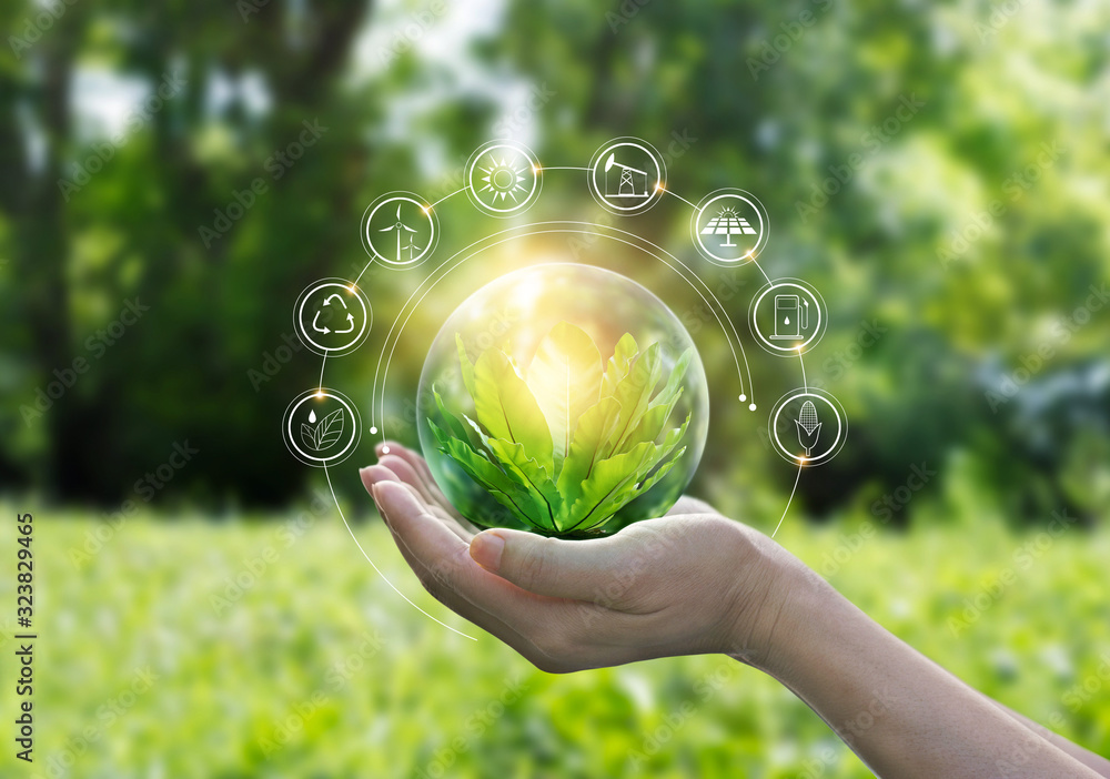 Sustainability